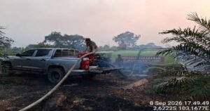 Konsisten Tangani Karhutla Kepedulian PT Lonsum Indonesia Tbk Jaga Ekosistem Lingkungan