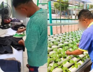 Di Balik Keterbatasan, Esok Menjemput Harapan,Warga Binaan Lapas Narkotika Muara Beliti Menanam Harapan Lewat Kerja dan Keterampilan