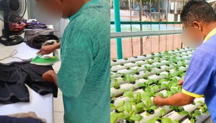 Di Balik Keterbatasan, Esok Menjemput Harapan,Warga Binaan Lapas Narkotika Muara Beliti Menanam Harapan Lewat Kerja dan Keterampilan