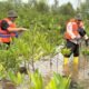 Kawal Pertumbuhan 22.000 Mangrove, Medco E&P Grissik Ltd. Lakukan Monev Bersama LDPHD Sungsang IV